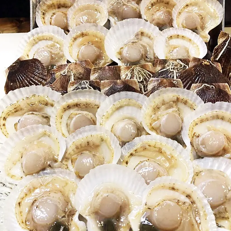 道南 砂原産 貝付きベビーホタテ(冷凍) 4kg(約100枚) | 居酒屋次郎の通販