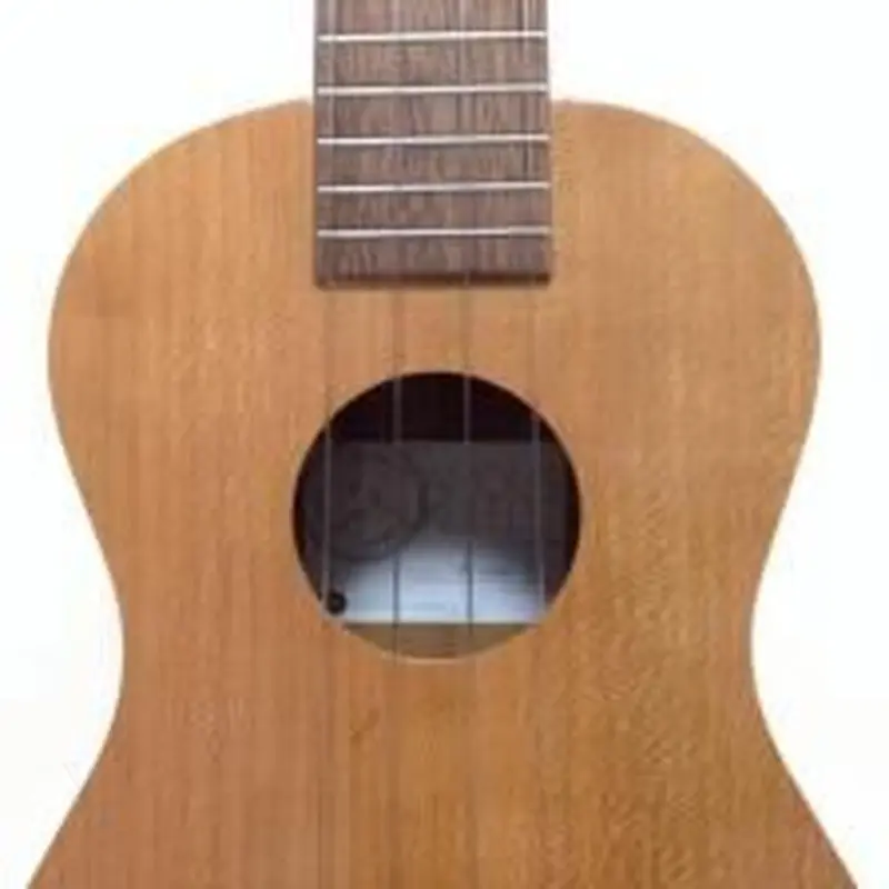 Famous(フェイマス) FC-11G コンサートウクレレ アメリカンチェリー