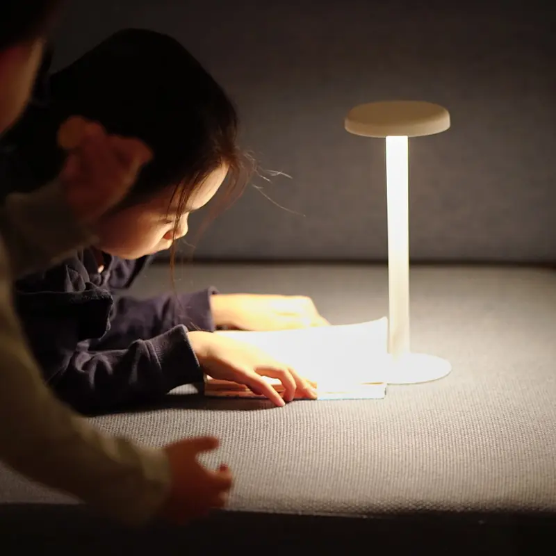品質検査済 【未使用品/箱あり】テーブルランプ イチ TABLE LAMP ICHI