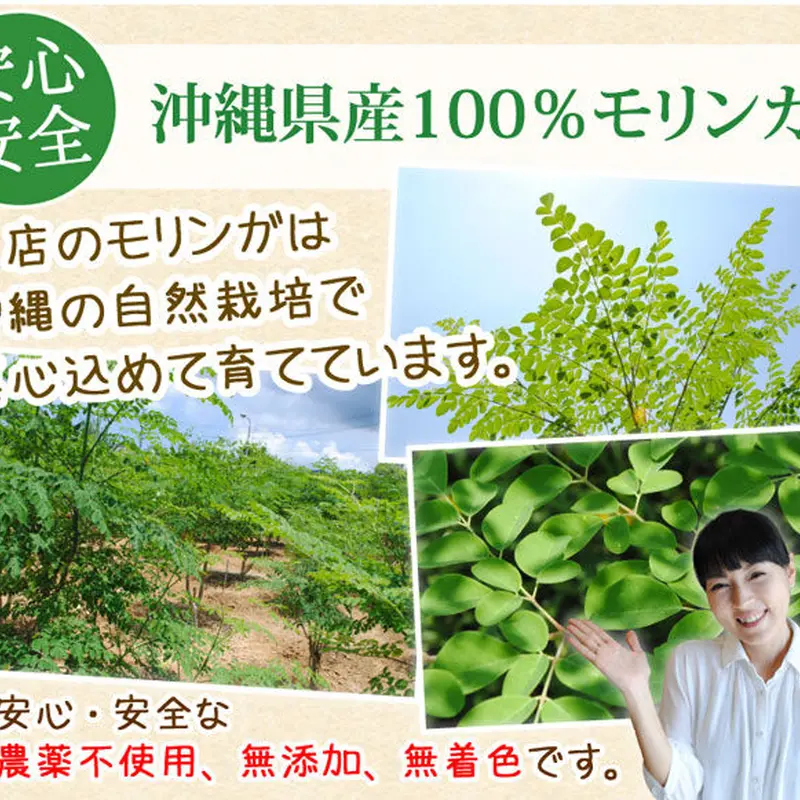琉球新美モリンガ粒ネオ(Neo)300粒入り10個セット「栄養機能食品