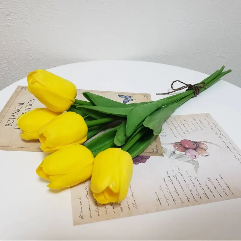 春夏新作モデル YONFA 美品 チューリップT Tシャツ/カットソー(七分