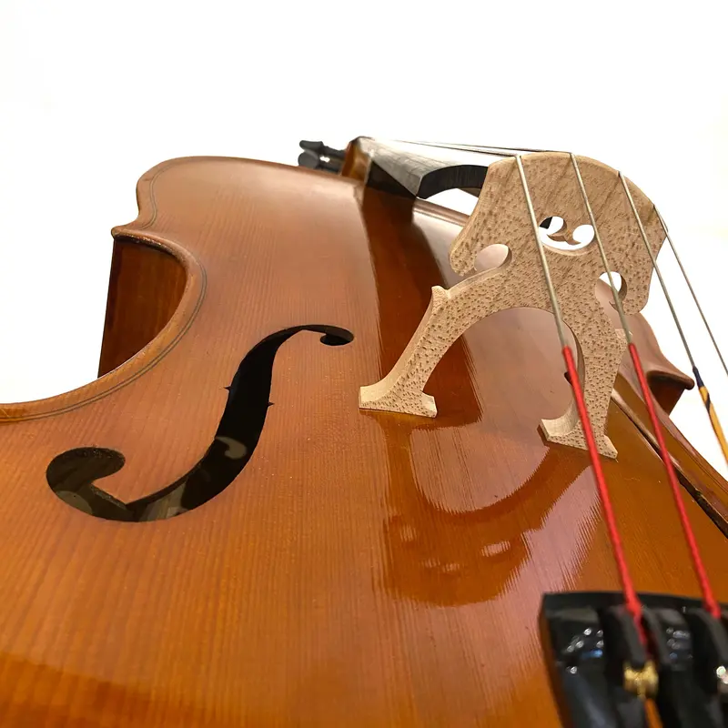 フルセット！ 1/2分数 オールドチェロ 1721年製作のオールドイタリー フルセット！ 1/2分数 オールドチェロ 1721年製作のオールドイタリー