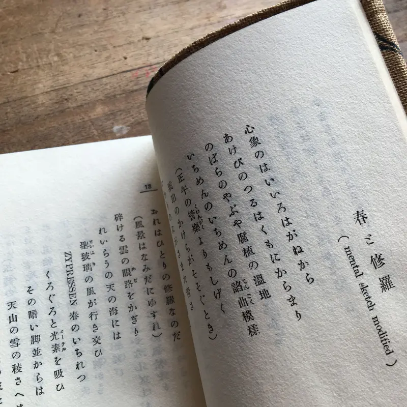 宮沢賢治「春と修羅」名著復刻全集＆愛蔵版詩集シリーズ2冊セット