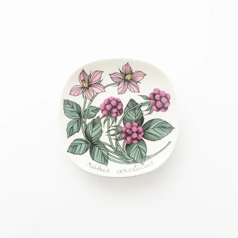 Botanica|42|チシマイチゴ / Rubus arcticus | lumikka o...