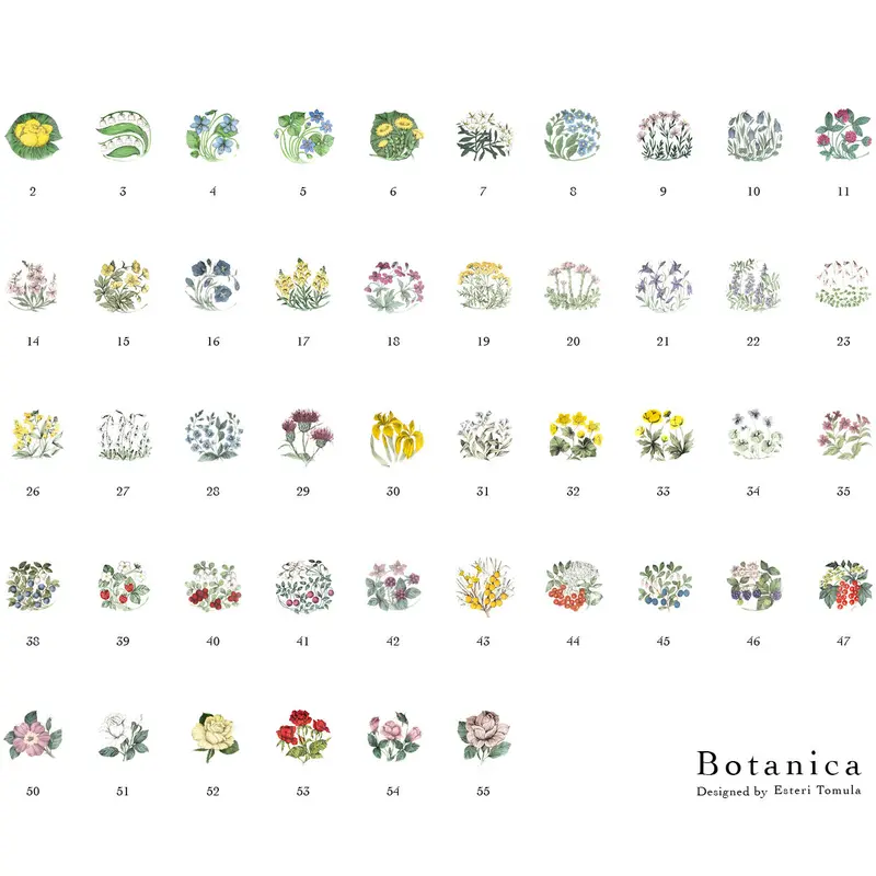 Botanica|42|チシマイチゴ / Rubus arcticus | lumikka o...