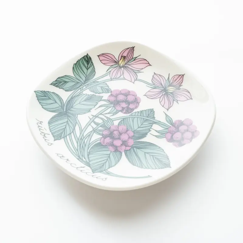 Botanica|42|チシマイチゴ / Rubus arcticus | lumikka o...