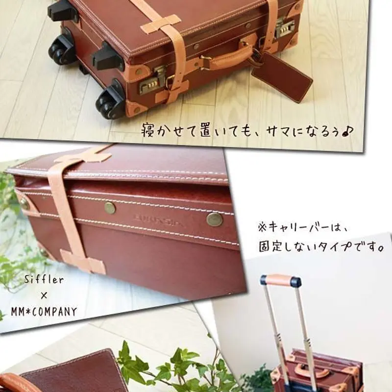 Siffler(シフレ) ユーラシアトランク キャリーケース C8014-49 <1