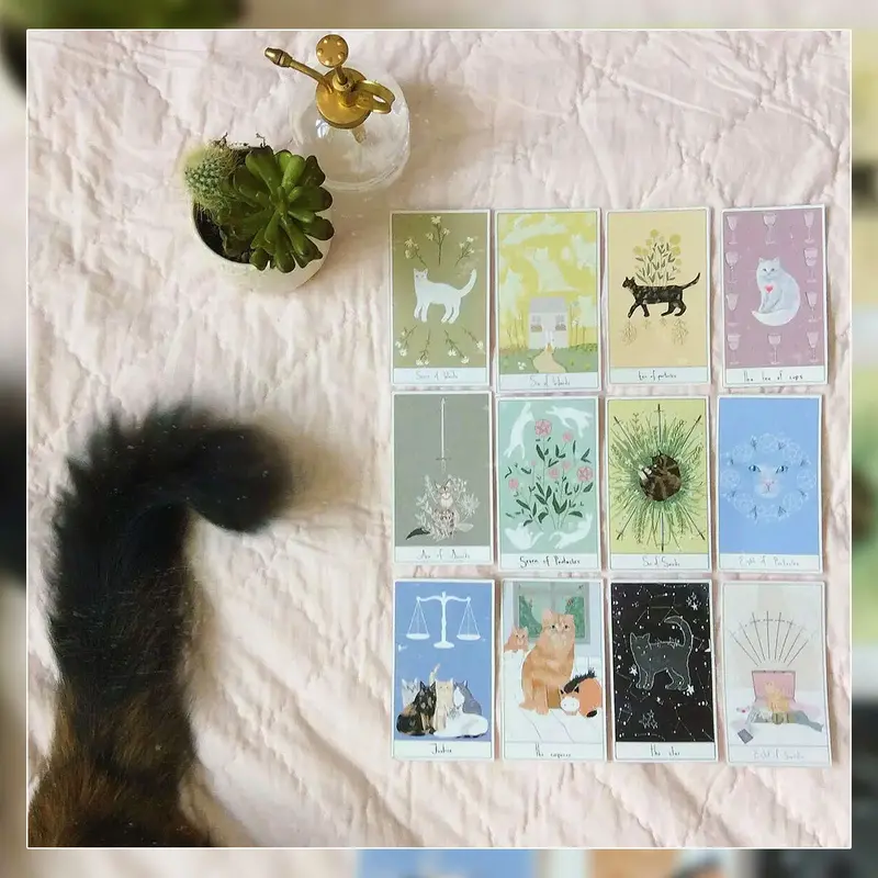 新作セール Considerate Cat Tarot 英語解説書付き uoLVE-m81658346709