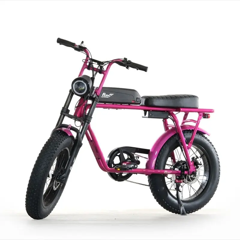 flow bike 電動アシスト自転車