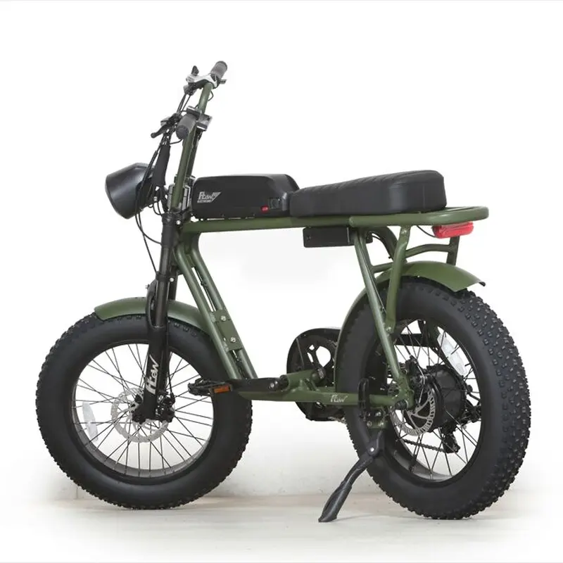 FLOW E-BIKE フロー フロウ 電動アシスト自転車 FLOW 電動