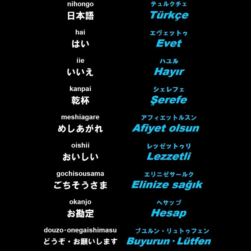 トルコ語