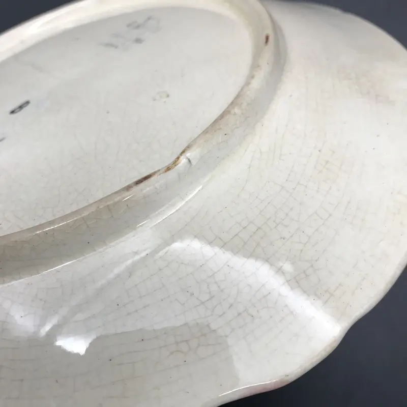 絶賛 Choisy le ショワジールロワ「バルボティーヌ・パンジー」【B Roi