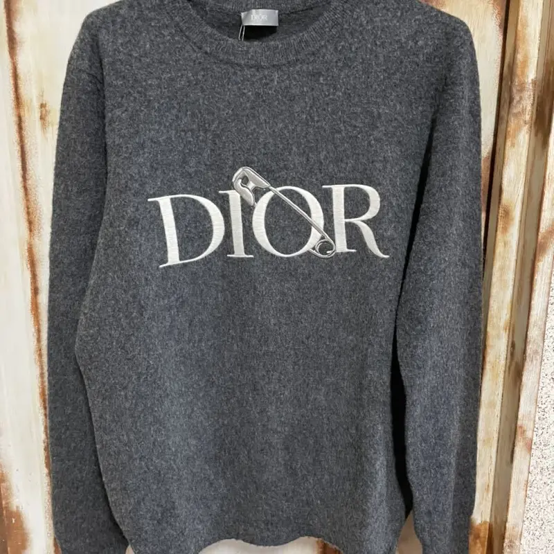 Lサイズ！国内完売！激レア20AW DIOR AND JUDY BLAME コラボ ディオール...
