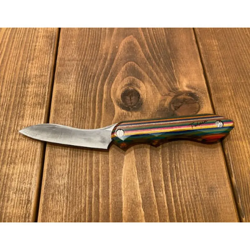 FEDECA 折畳式料理ナイフ マルチカラー 2019モデル ランダムアソート