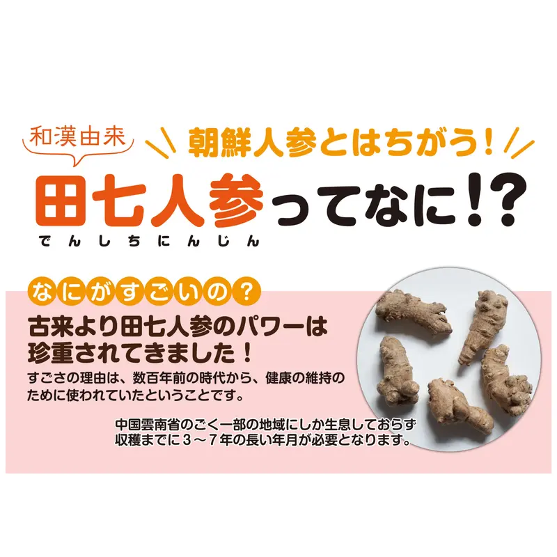 ①-① 専用です。 流清伝七 田七人参