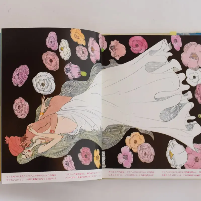 手塚治虫 大人の絵本 千夜一夜物語 美品 レア