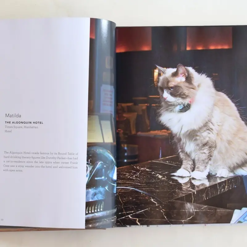 SHOP CATS OF NEW YORK | 誠光社 通信販売