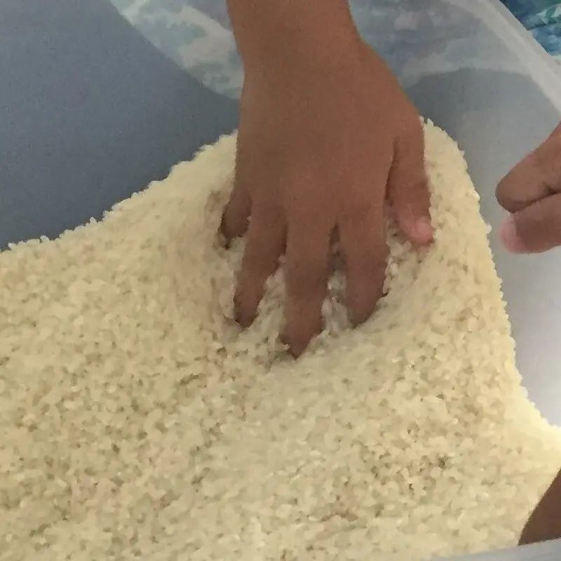 無農薬!送料込!】新米・令和4年(2022年)産 武田家コシヒカリ10kg