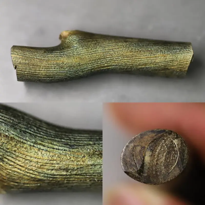 最新発見 深海松 箸・カトラリー