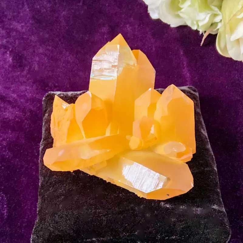 幸運を引き寄せる】メロディ女史のクリスタル 【公式通販】