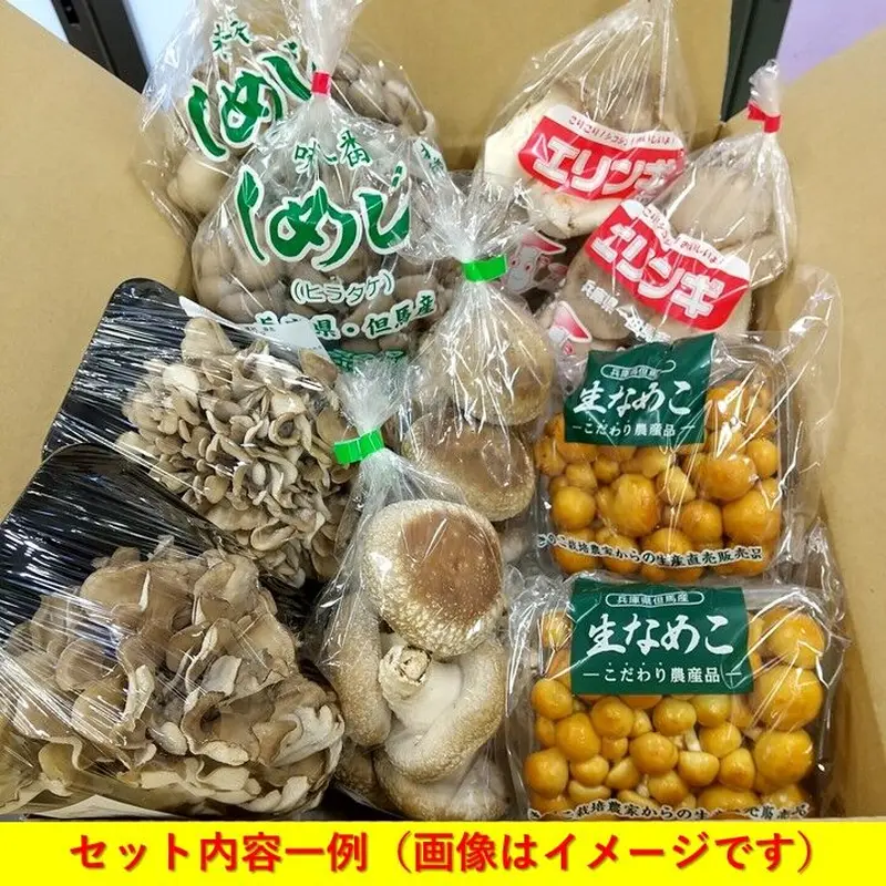 たじまのきのこ☆倍々☆セット 新鮮きのこ5種類 ※送料無料(北海道