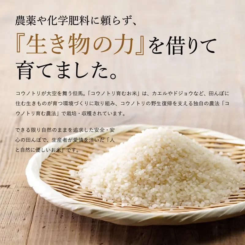 s2ritsus2 新米 無農薬コシヒカリ玄米20kg(5kg×4)令和4 なお様専用 無農薬コシヒカリ玄米20kg(2.5kg×8)令和5年産