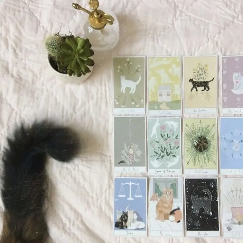 福袋セール】 思いやりのある猫のタロット (正規品・希少) その他 ...