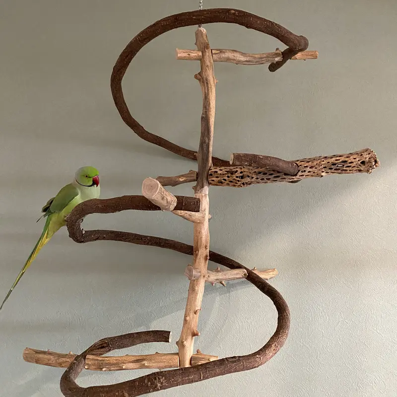 オウムスタンド(ヨウム用)