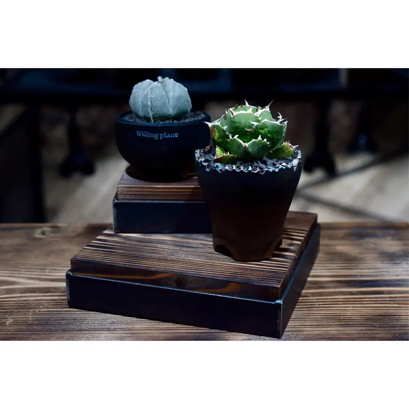 W.P Original Pedestal Mサイズ | Willing plant