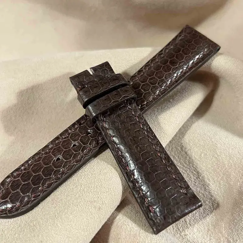 sna-76 シースネイク（ウミヘビ）腕時計ベルト ダークブラウン (ラグ幅