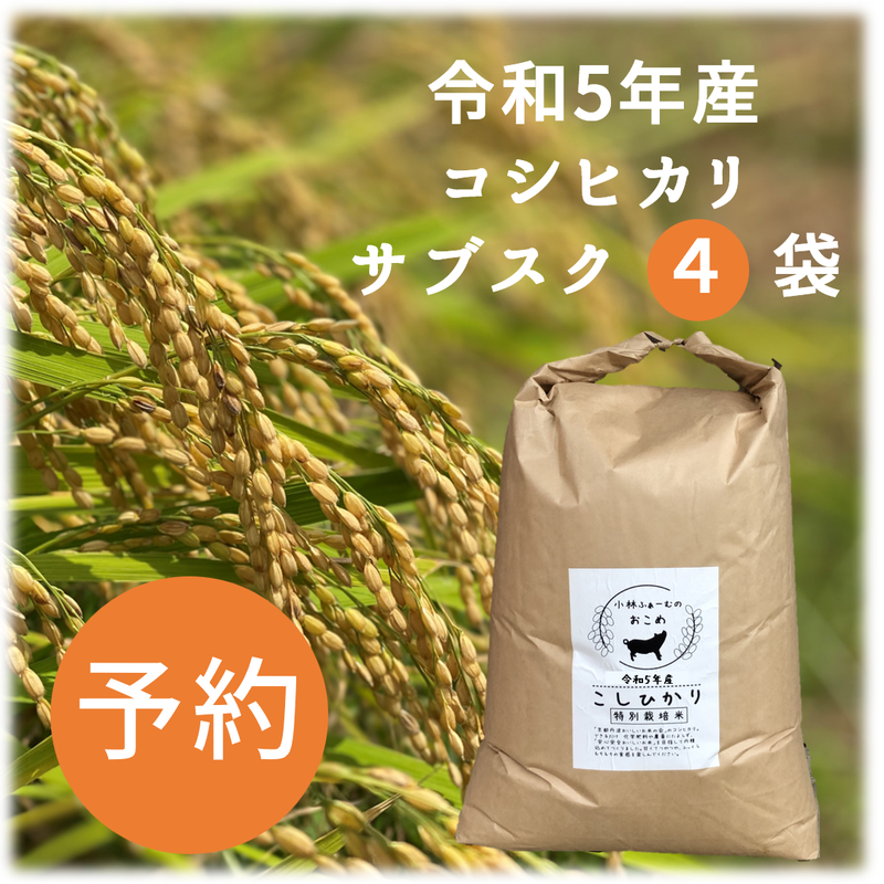 予約受付中】R4新米コシヒカリ(有機肥料多め栽培)玄米30kg