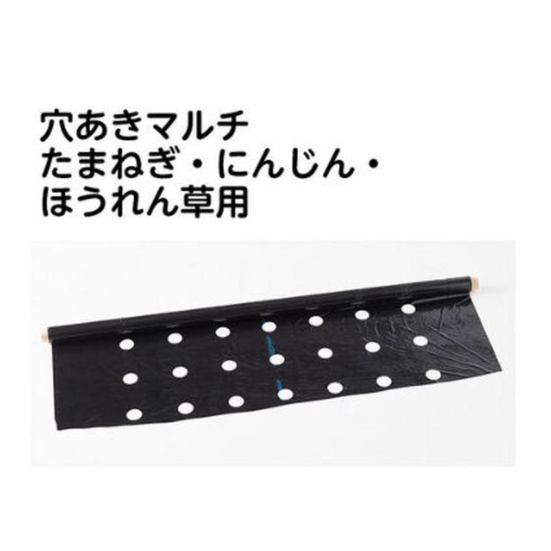 玉ねぎ コンテナ用 ブルーシート