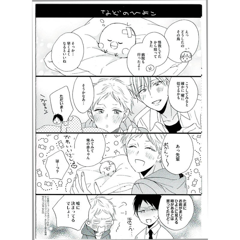 佐倉リコ サイン本 ひよちゃん恋をする？ イラスト