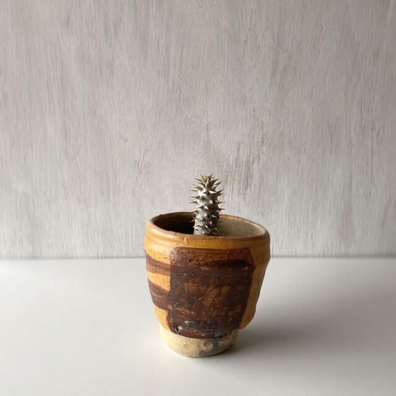 新品 キムホノ 鉢