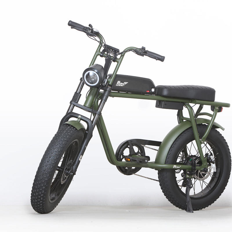 Flow E-bike カスタム super73 flowbike ebike 電動アシスト自転車 電動自転車カスタム
