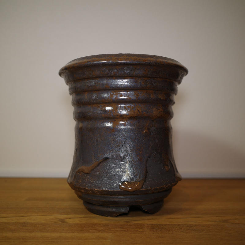 限定販売・姫野翔太】Black Star Noppo | Plants Holic