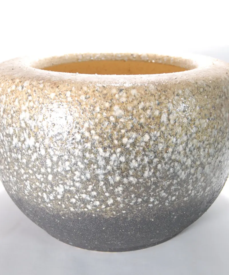 緑屋i□ 中国古玩 白海鼠 白釉 白交趾 支那鉢 植木鉢 盆栽鉢 幅約54cm