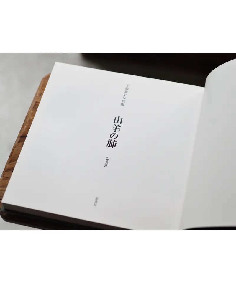 山羊の肺 沖縄 一九六八-二〇〇五年 | Flying Books