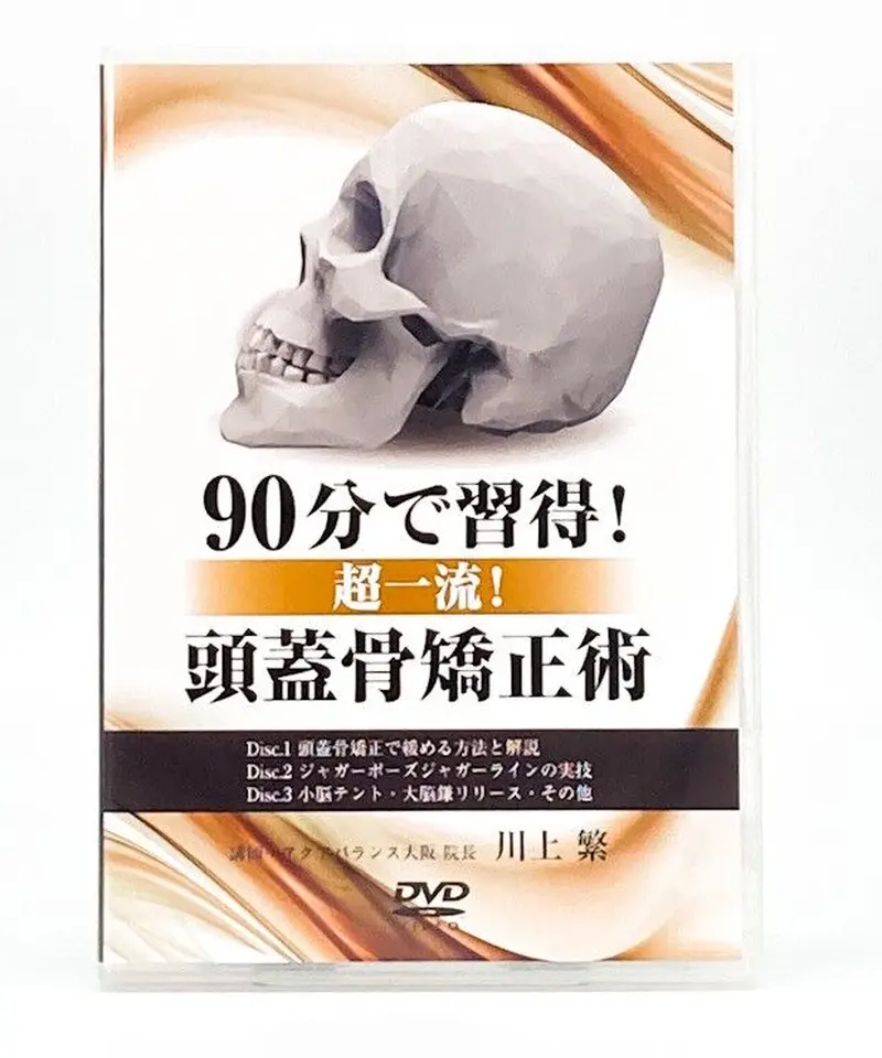 はじめての人のための頭蓋骨矯正｜漢方・薬膳のセミナーなら気軽