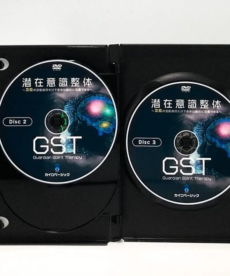 潜在意識整体GST～立位の波動施術だけで身体は劇的に改善できる～ 丸山