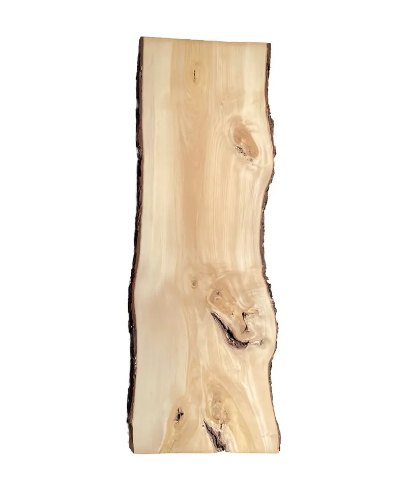 001イチョウの一枚板 | Tanzen Makers Shop