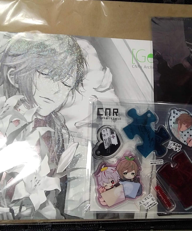 週末限定直輸入♪ CRN+ ChroNoiR アーカイブス セット販売 - 通販