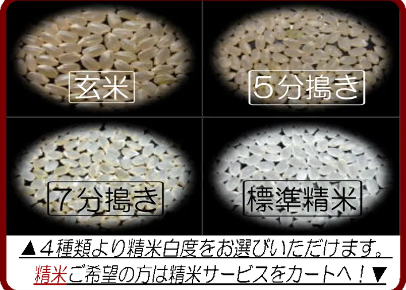 大分県玖珠九重産ひとめぼれ/玄米/30kg/令和4年産/JA1等米 /減農薬 ...