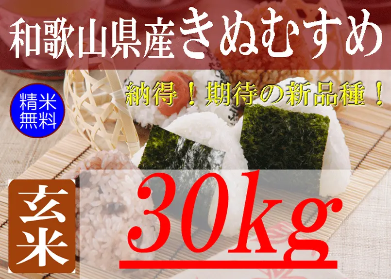 ‼初売りSALE‼令和4年 30キロ 玄米 キヌムスメ 和歌山県産