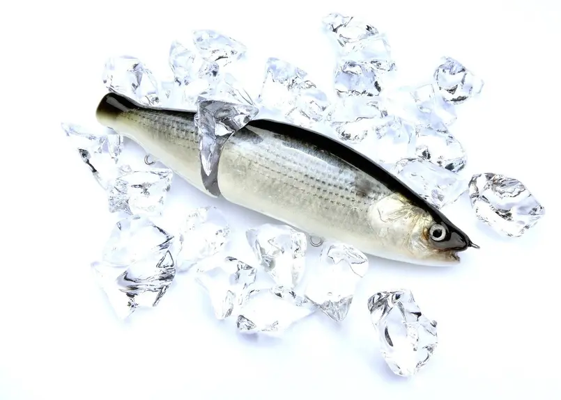 フレッシュベイトルアーズ　ジョイントゾーイ 魚皮カスタム フレッシュベイトルアーズ ジョインテッドクロー 魚皮