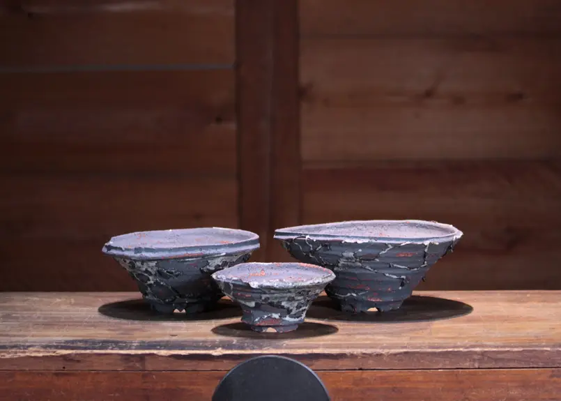 阪本 健 作家鉢 未使用品 【公式通販】