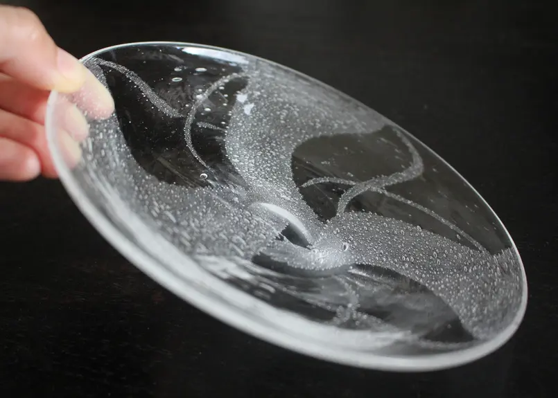 ガラス作家荒川尚也のお皿 | comonuevo.com.co