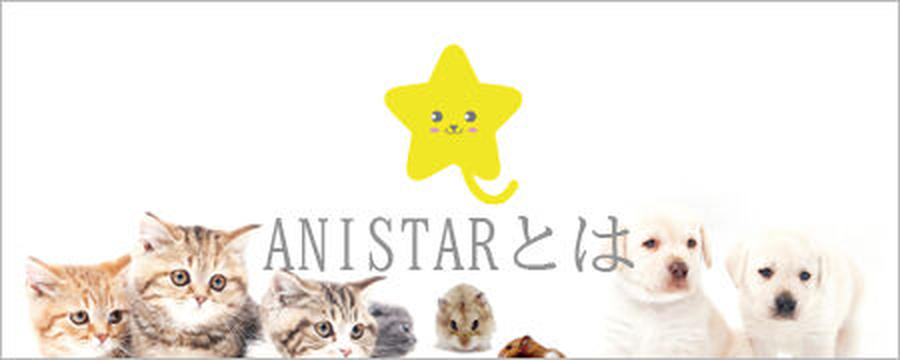 豆柴福ちゃん富くん ファンサイト
