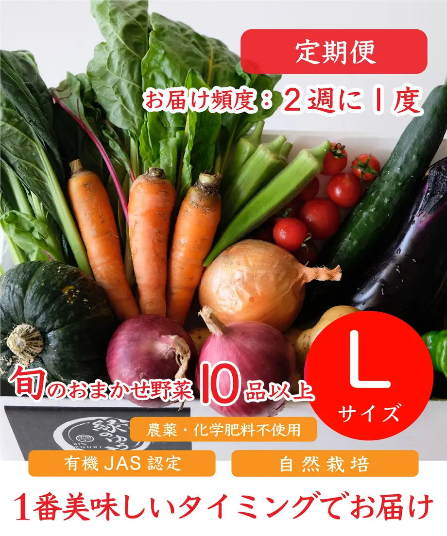 5f55f1daf9c59028940bb1a9