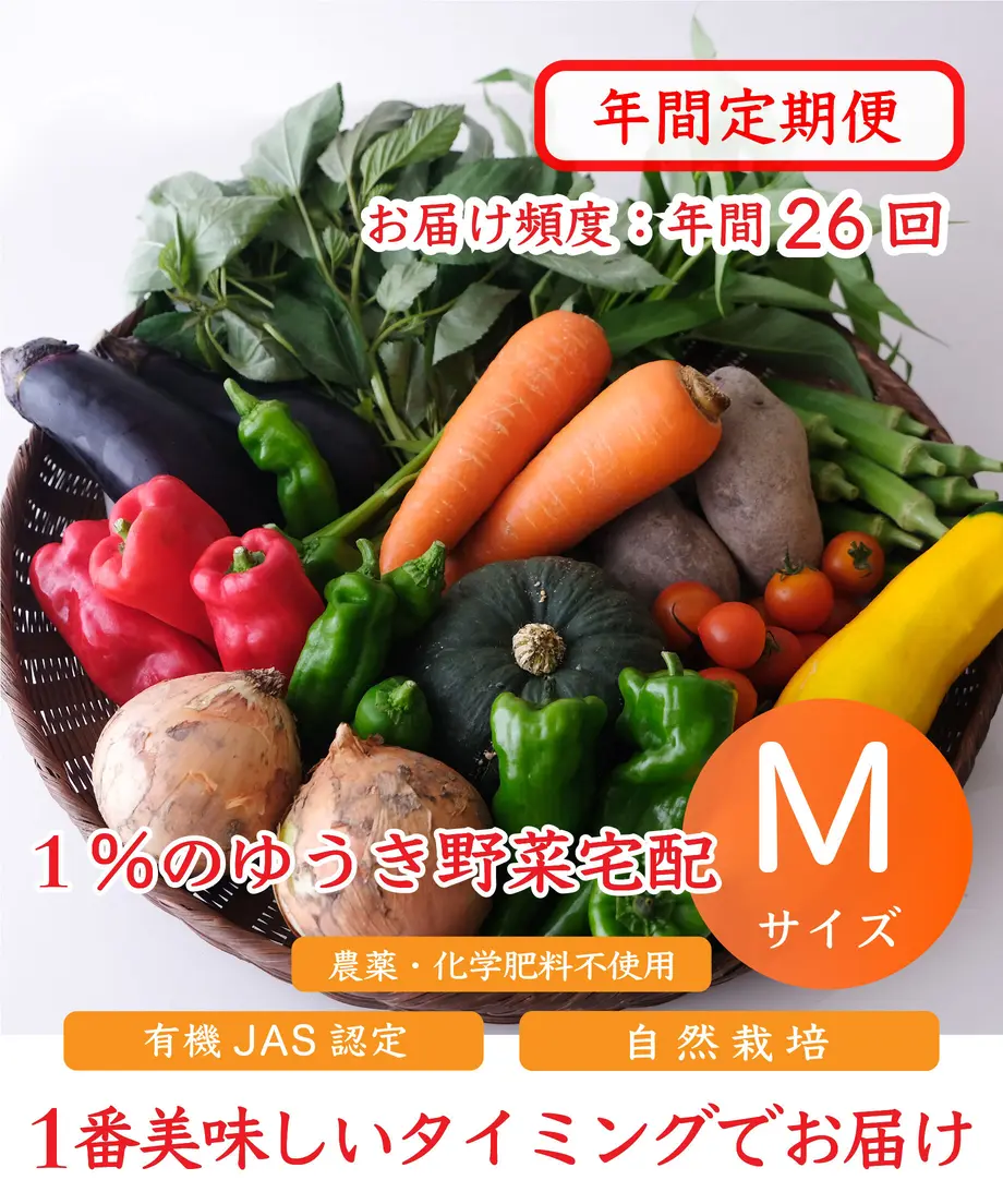 64b765f655979800305cb19d